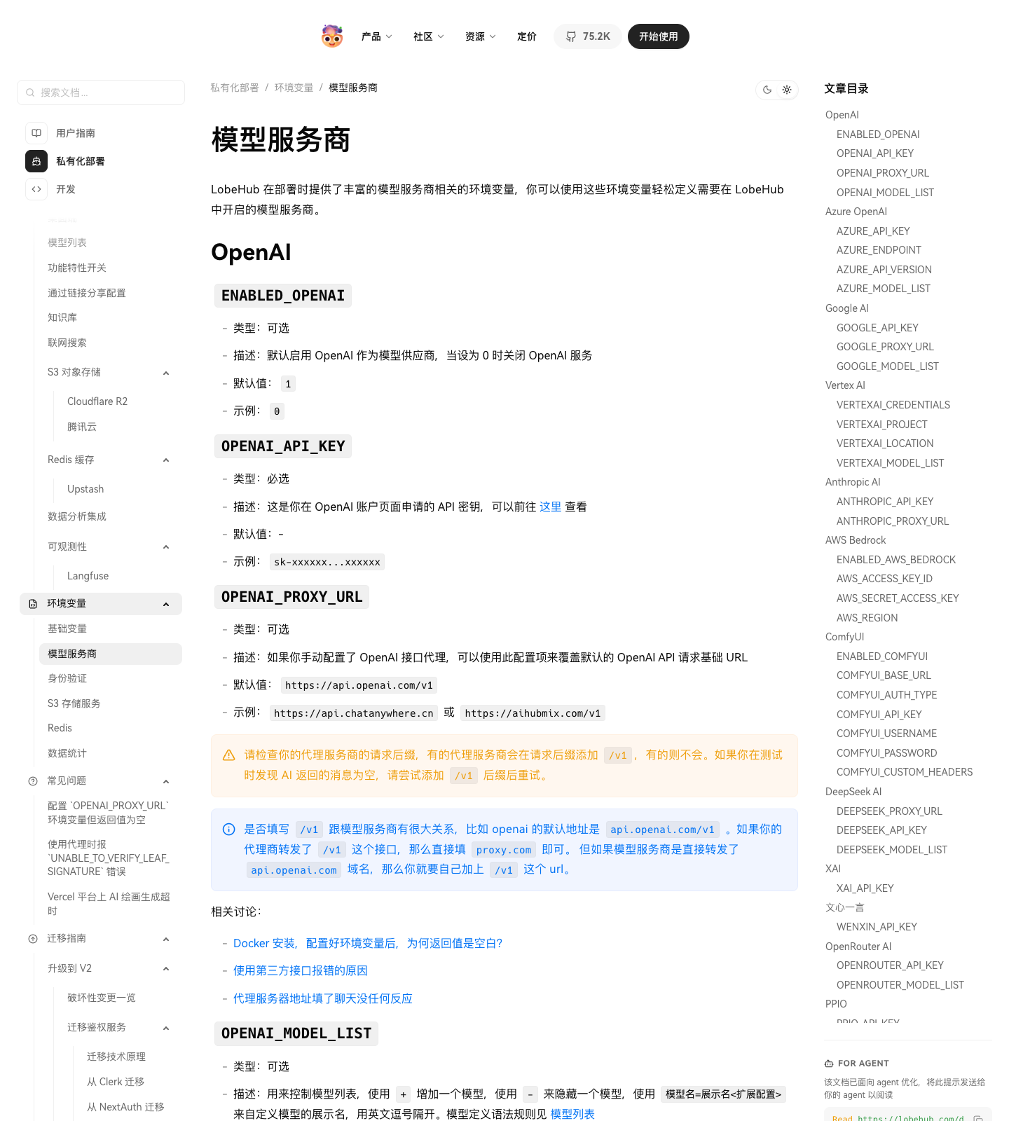 Lobe Chat 模型服务商环境变量示意